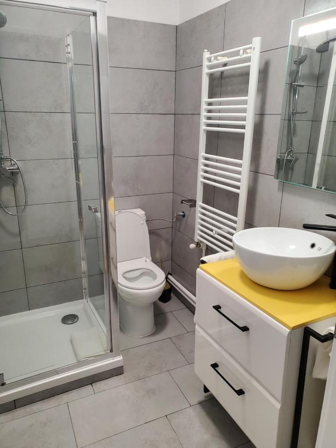Basarab 3 Apartman Brassó Kültér fotó