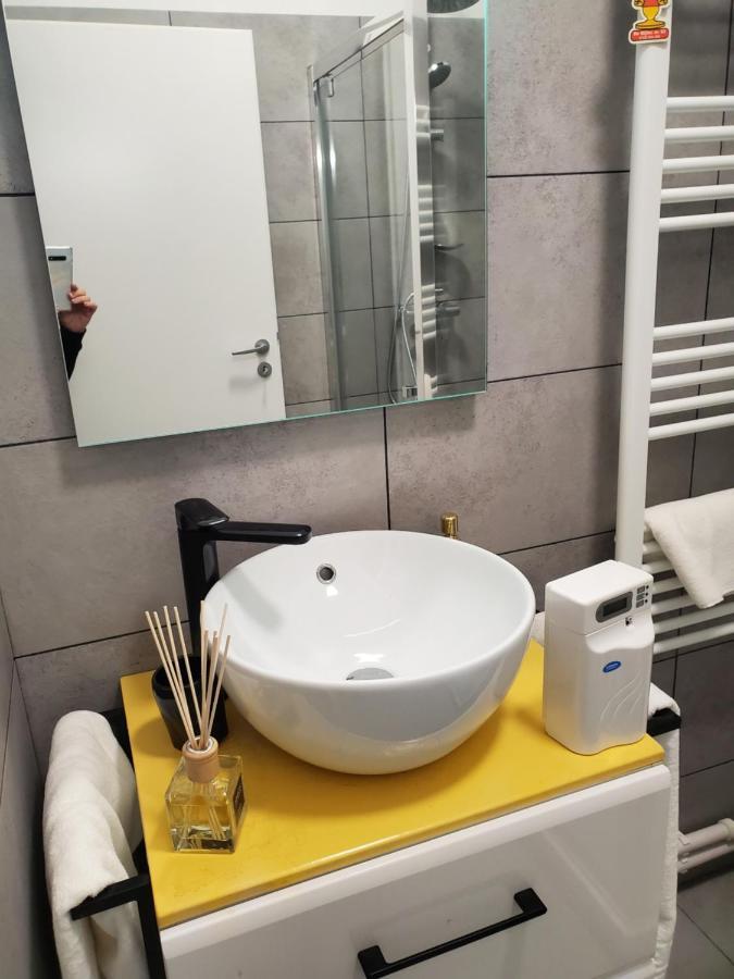 Basarab 3 Apartman Brassó Kültér fotó